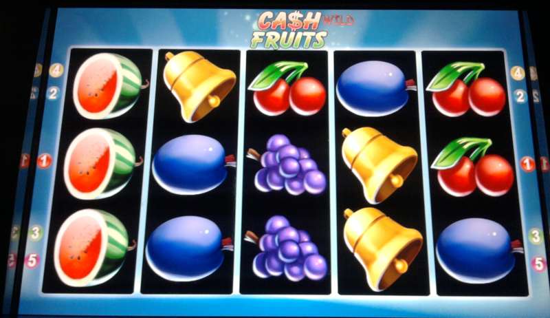 Cash Wild Fruits 1