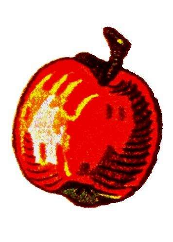 Apfel